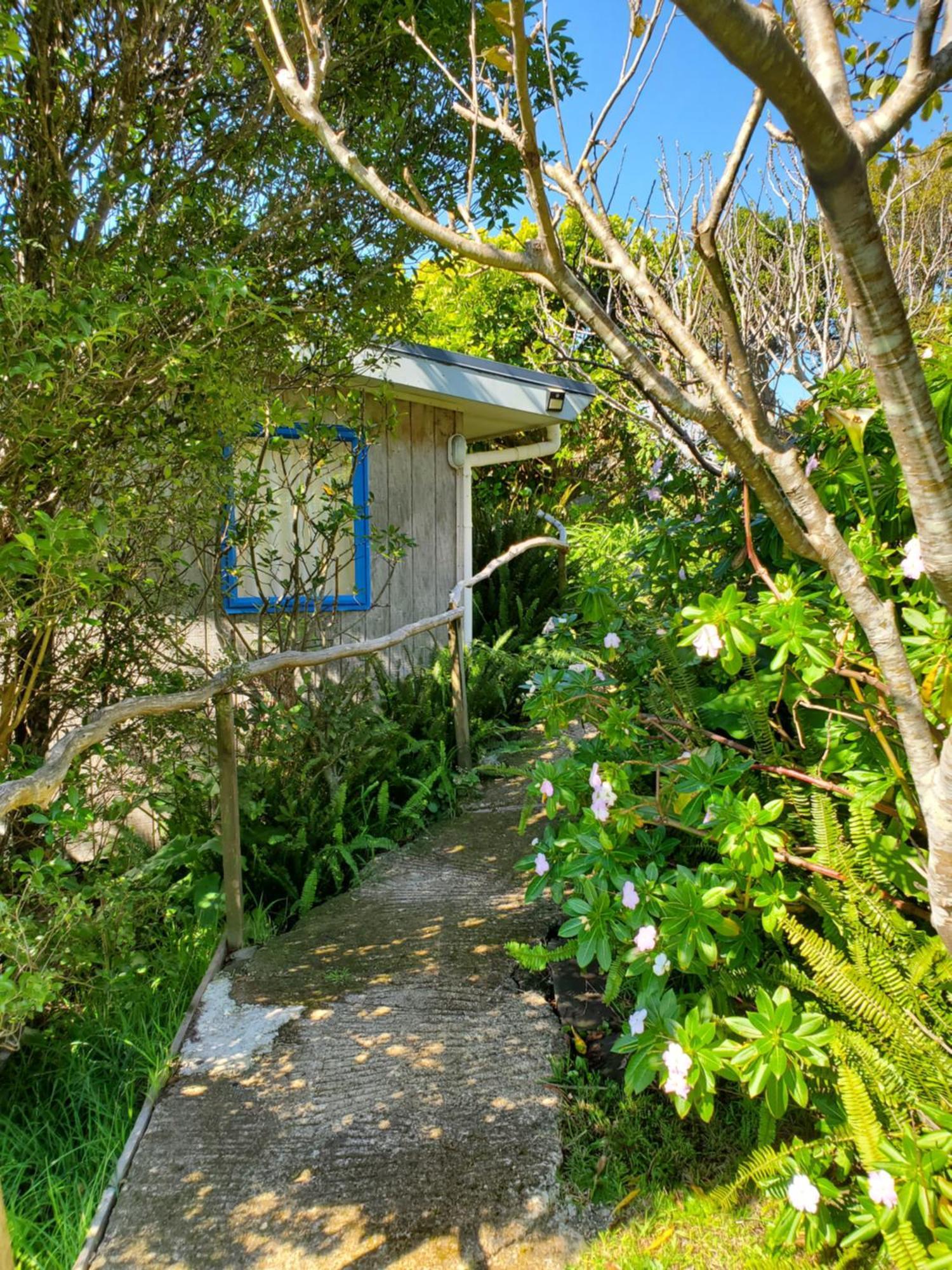 Rawhiti Cottage At Kaeppeli'S Kuaotunu Zewnętrze zdjęcie